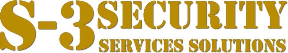 S-3SEGURIDAD